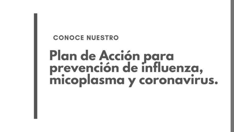 Plan de Acción para prevención de influenza, micoplasma y coronavirus